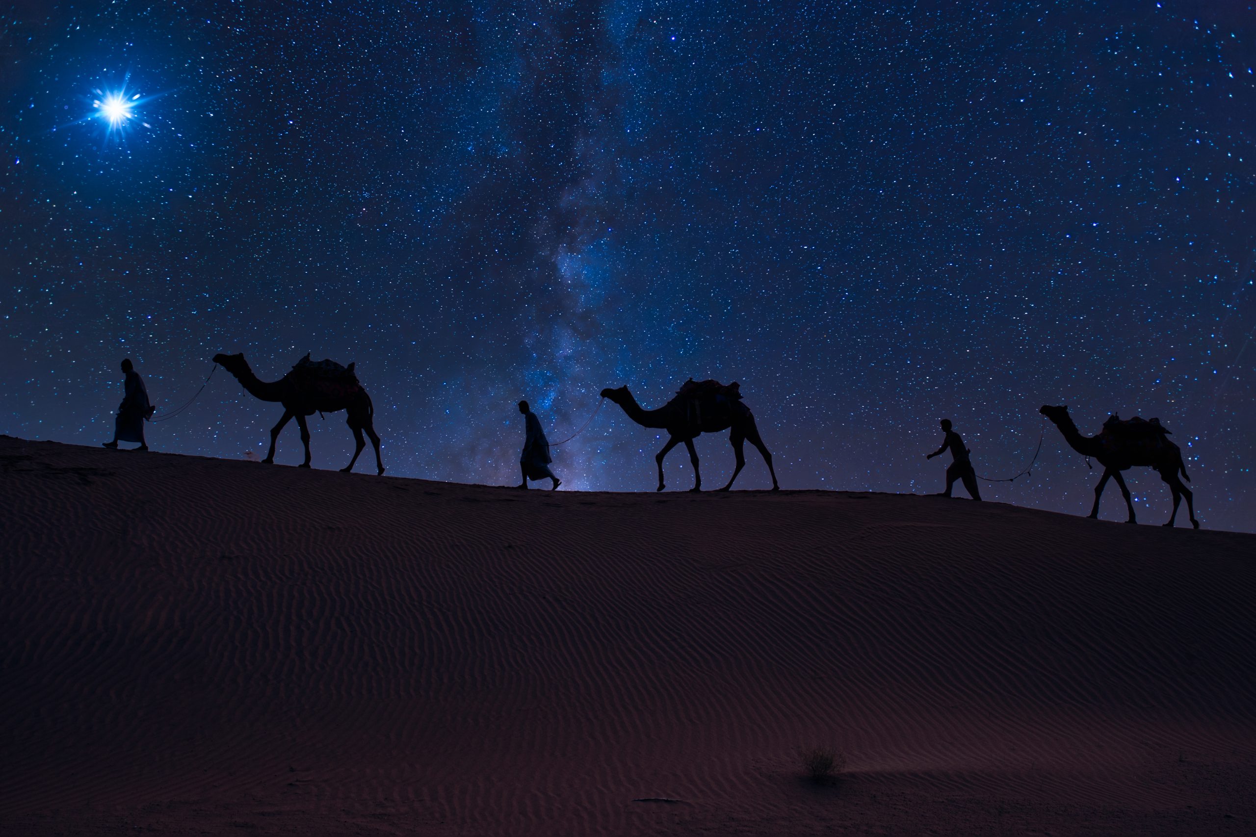 Overnight Desert Safari